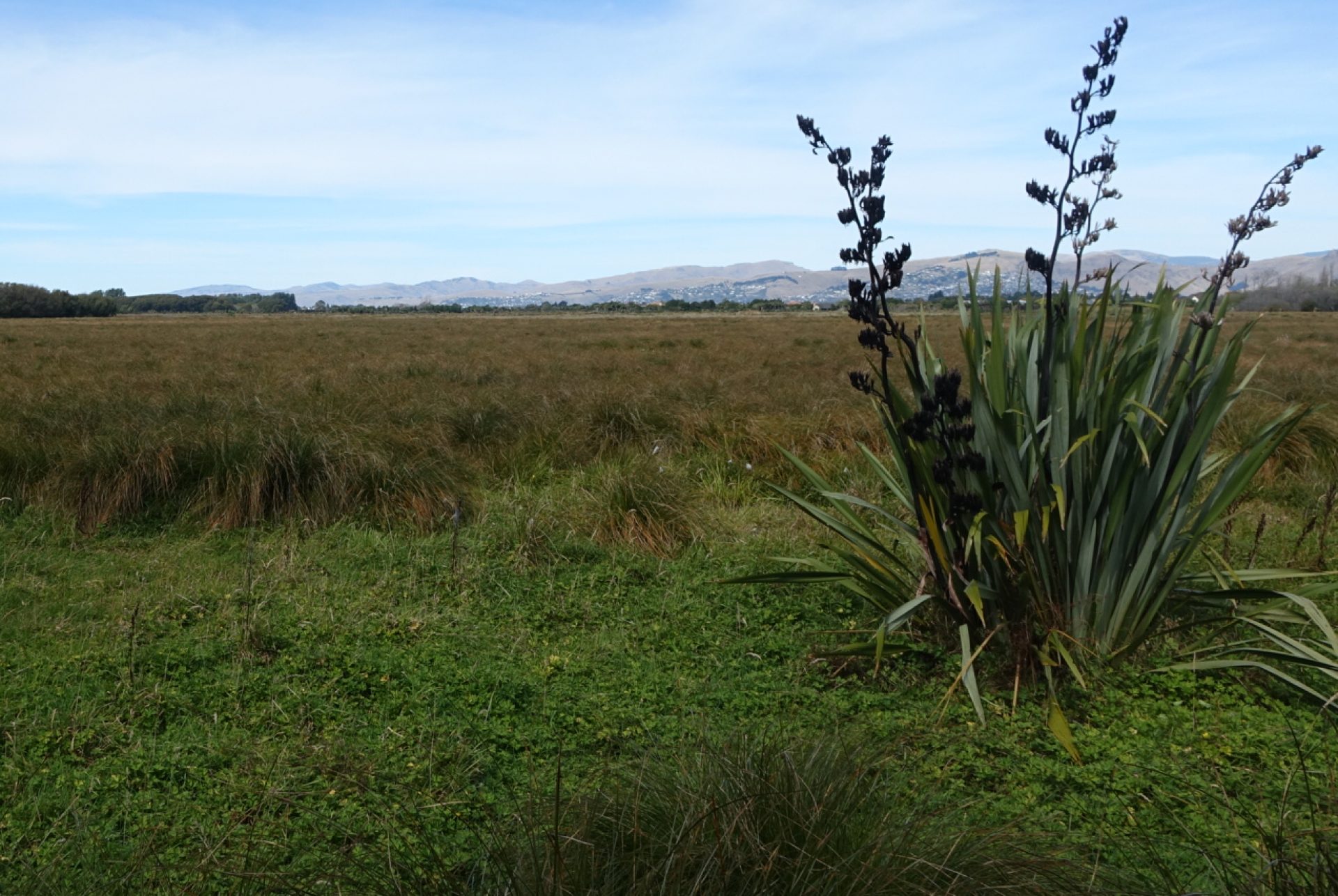 Parklands Baptist Community Church